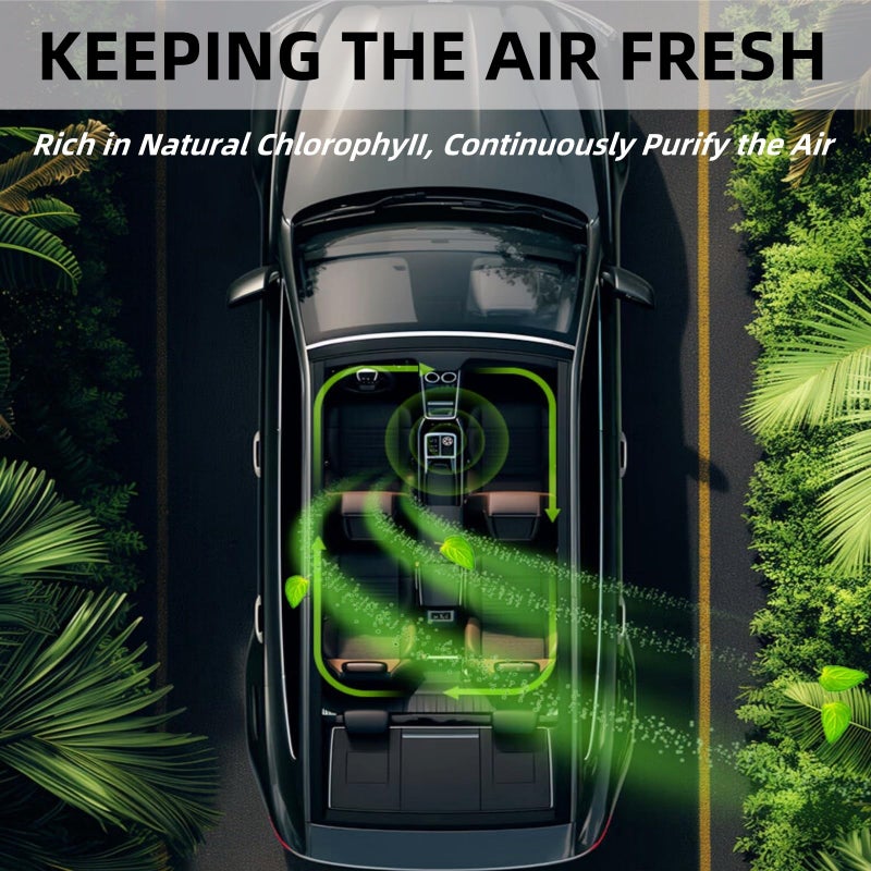 StandSky Smart Car Air Freshener Refill - 3 pcs Long Lasting Aroma Replacement for Car Diffuser (Ocean) - Image 4